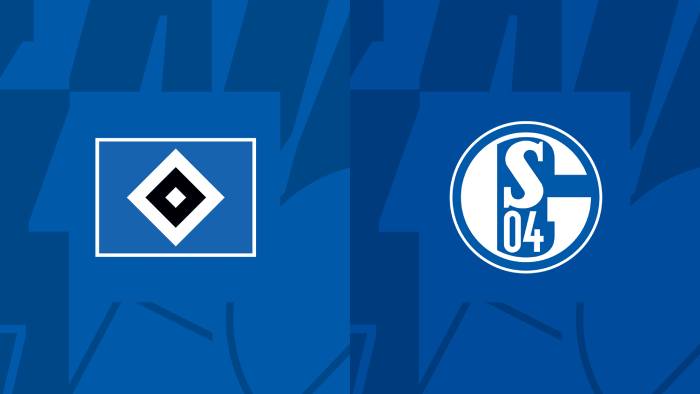 Soi kèo nhà cái Hamburger vs Schalke 04 - Hạng 2 Đức - 29/07/2023